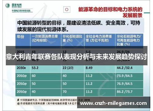 意大利青年联赛各队表现分析与未来发展趋势探讨