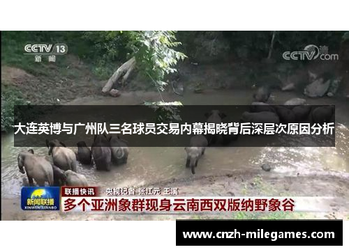 大连英博与广州队三名球员交易内幕揭晓背后深层次原因分析